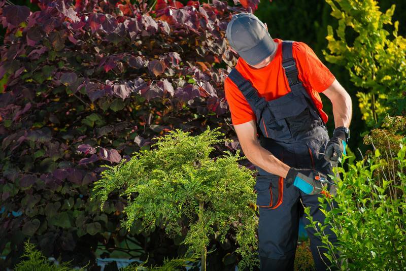 Como fazer a manutenção do jardim do condomínio em tempos de pandemia?