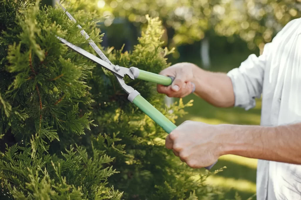 imagem de um homem realizando serviços de empresa de jardinagem